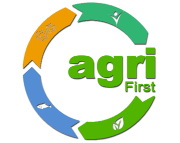 STATUT DE L’ENTREPRISE